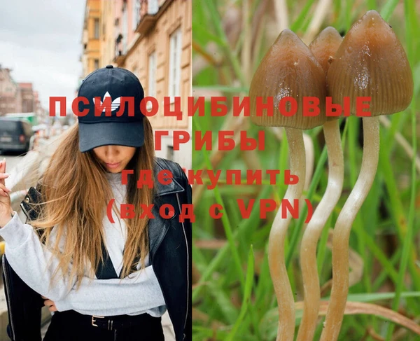 герыч Балахна