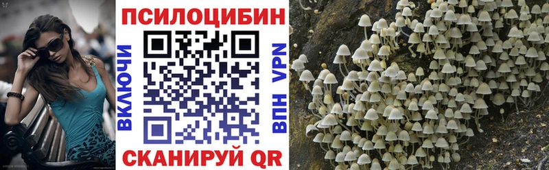 Псилоцибиновые грибы GOLDEN TEACHER  наркошоп  Хилок 